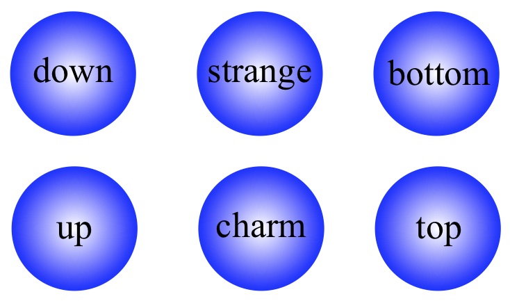 The quarks
